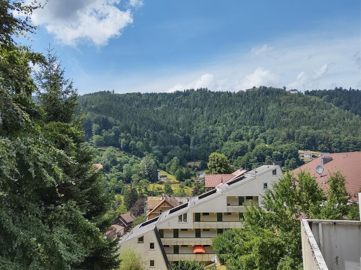 Ein-Zimmer Apartment Mit Aussicht Bad Wildbad Bagian luar foto